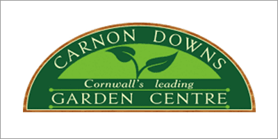 carnon downs 400